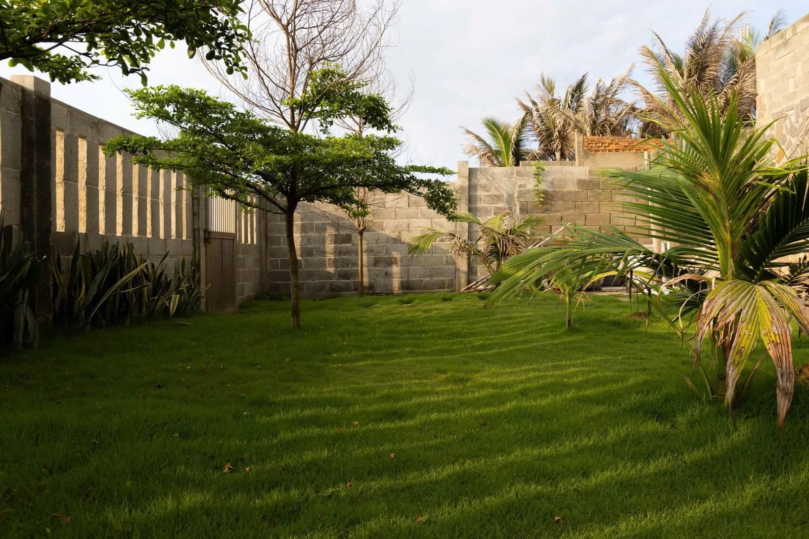 Trường Sơn Villa Mặt Biển — ảnh 7/12